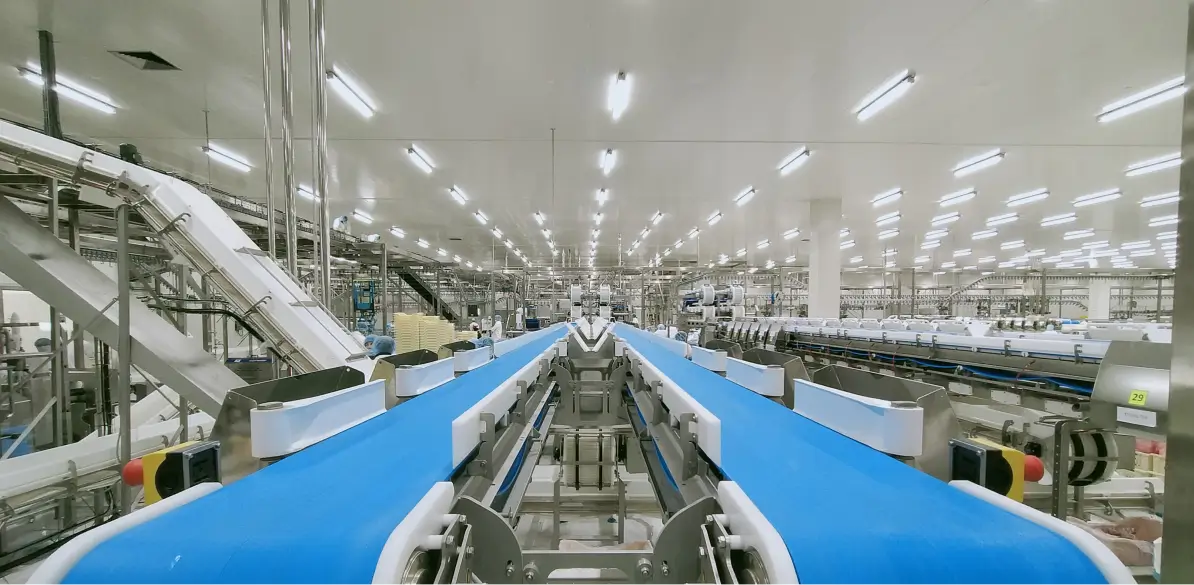 A food production line with blue conveyor belts