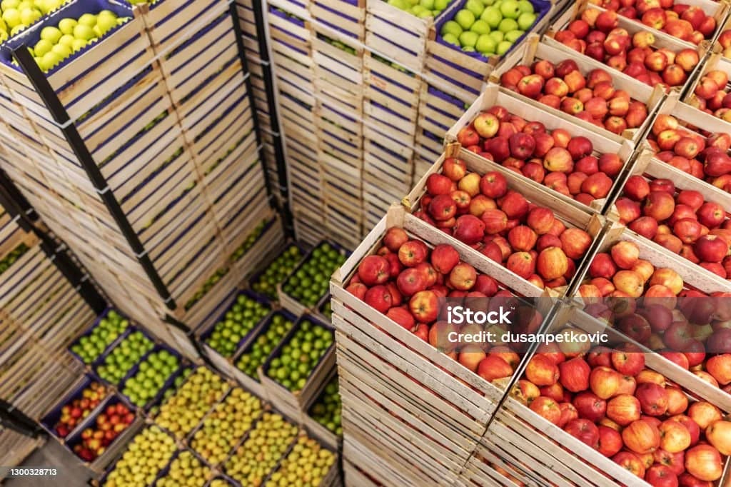Produce packed for export
