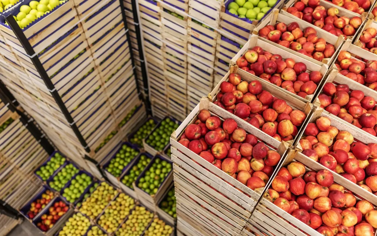 Apples packed in crates for export