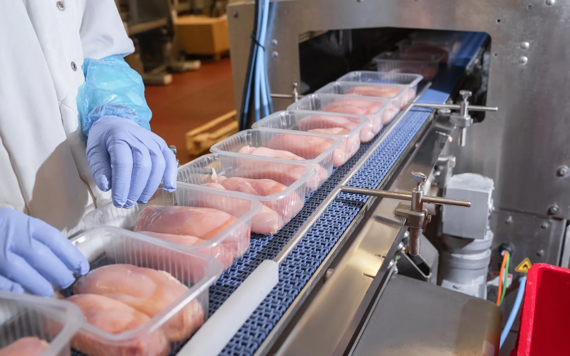 Certificación halal para materiales de empaque y fabricantes