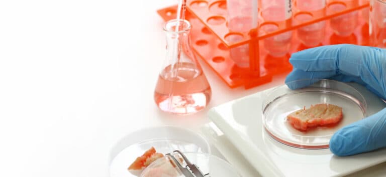 Is Lab-Grown (Cell-Cultured) Meat Halal? An Authoritative Guide