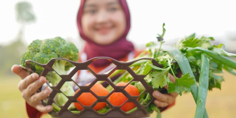 Halal and Vegan: Differences and Similarities