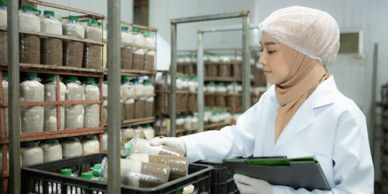 Halal vs Organic: Differences and Similarities