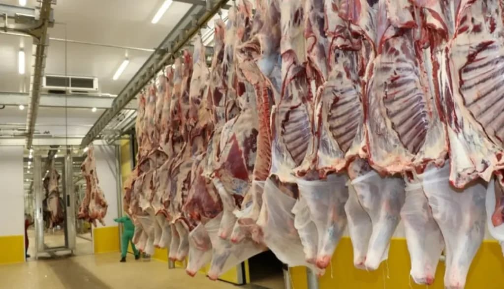 How to Get Your Slaughterhouse Approved for Halal Exports to Muslim Countries