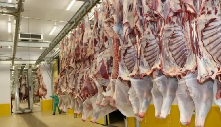 How to Get Your Slaughterhouse Approved for Halal Exports to Muslim Countries