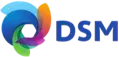 dsm solvay logo