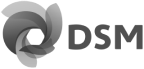 DSM logo