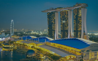 Halal Certification for Export to Singapore: Building Trust in the Global Marketplace