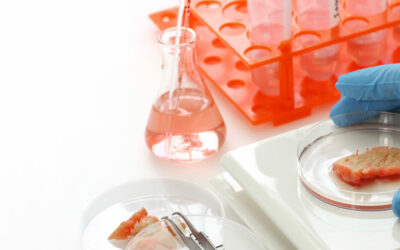 Are Cell-Cultured (Lab-Grown) Meats Halal? An Authoritative Guide