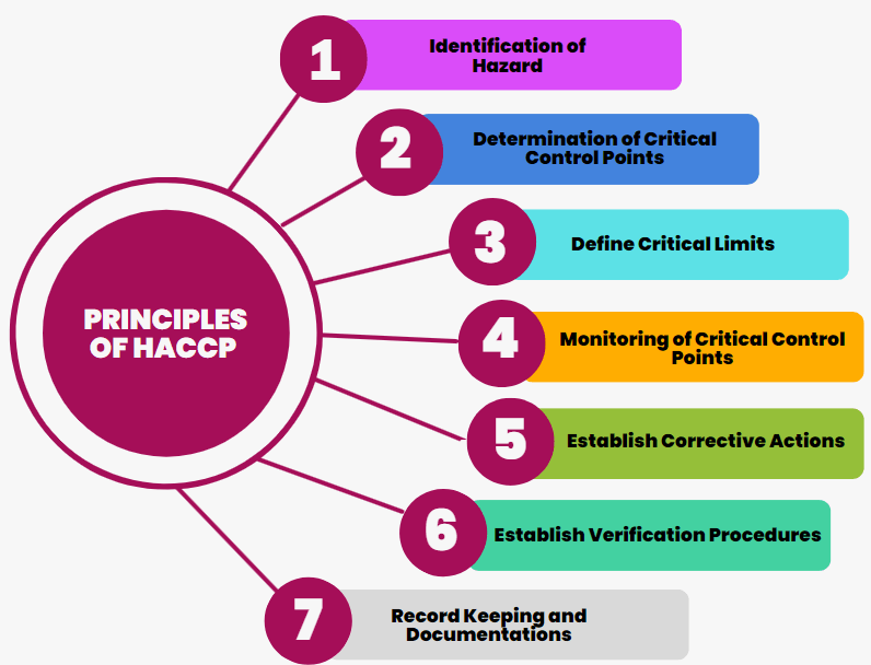 A Comprehensive Guide For Implementing HACCP In Food And Beverage   Halal Graphic 1 