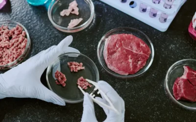 What is Lab-Grown Meat? A Comprehensive Scientific Guide