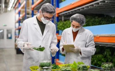 Ingredient Sourcing Best Practices for Food Manufacturers