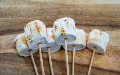Are Marshmallows Halal? AHF Explainer Guide
